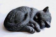 2022 Poes slaap zwart zilver 800